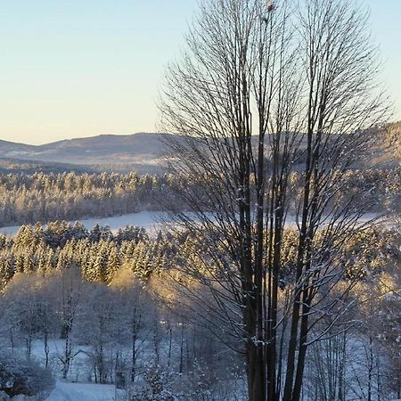 Ferienwohnung-Panoramablick-1 Bodenmais Dış mekan fotoğraf