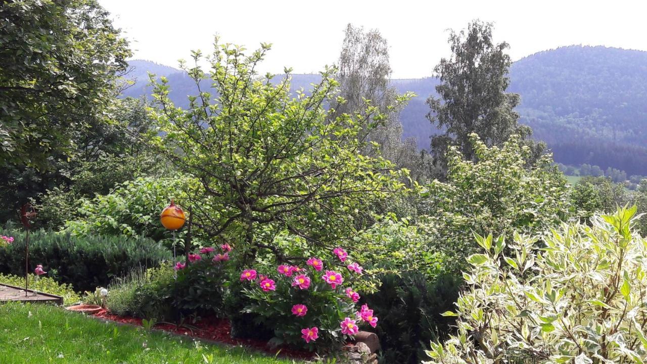 Ferienwohnung-Panoramablick-1 Bodenmais Dış mekan fotoğraf