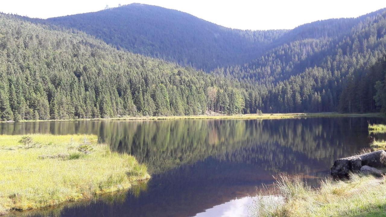 Ferienwohnung-Panoramablick-1 Bodenmais Dış mekan fotoğraf