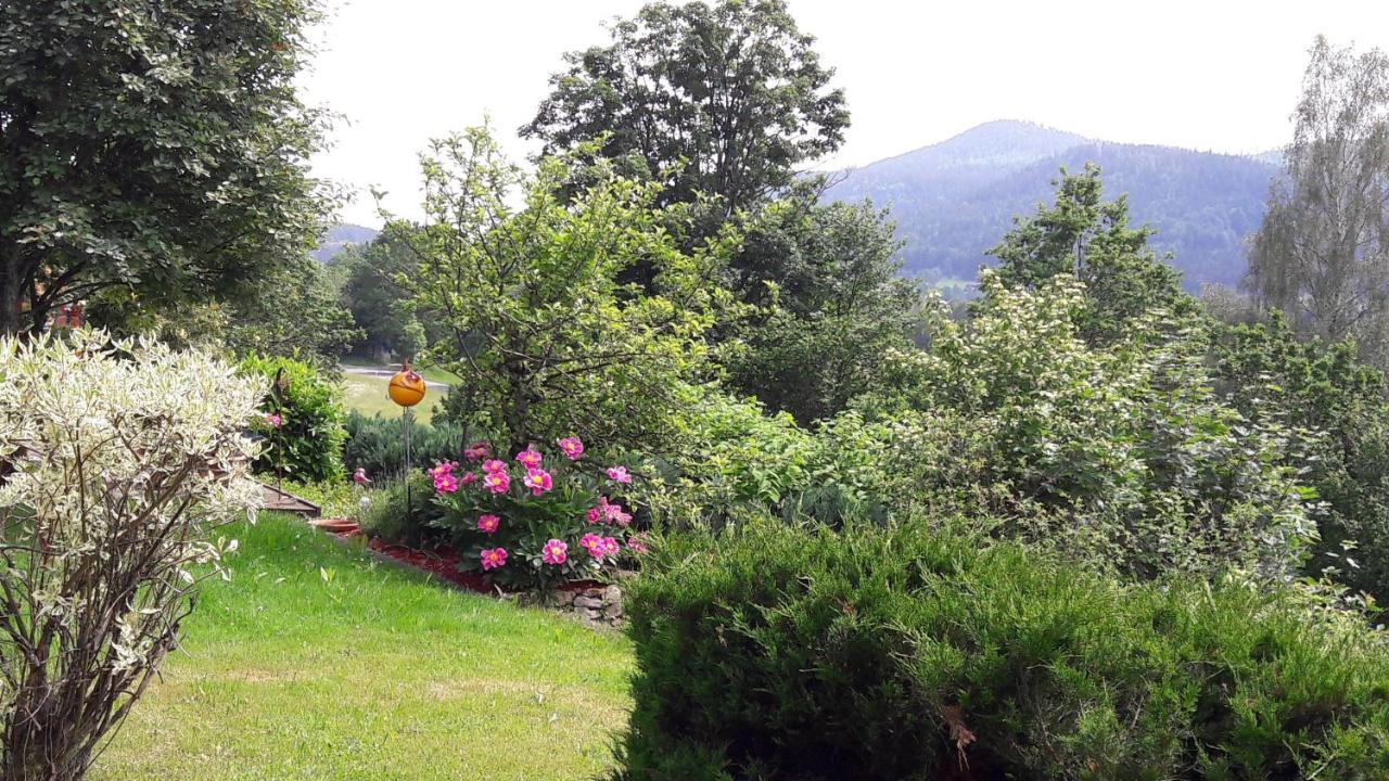Ferienwohnung-Panoramablick-1 Bodenmais Dış mekan fotoğraf