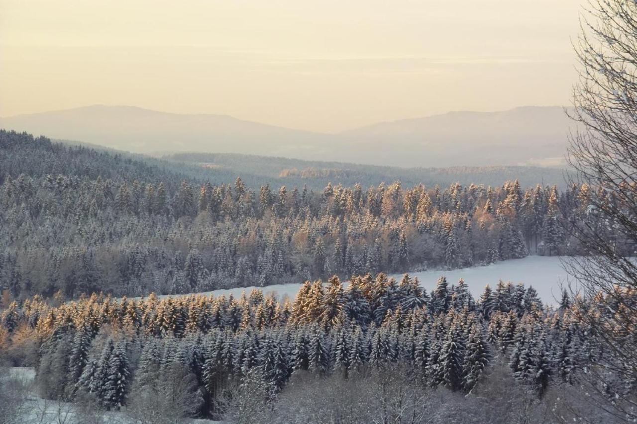 Ferienwohnung-Panoramablick-1 Bodenmais Dış mekan fotoğraf